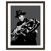 Taj Mahal American Blues Musician Legend