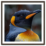 King Penguin Standing In Rain With Water Drops Nature Photography thumbnail