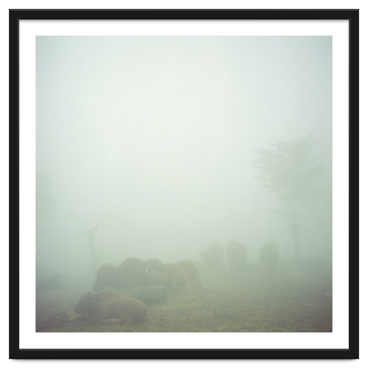 Silence of breath - 03