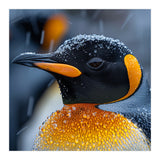 King Penguin Close Up In Snowfall (Print Only) thumbnail