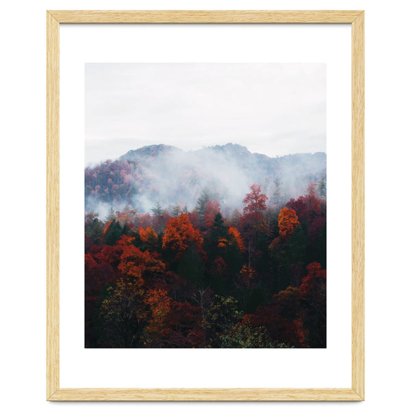 Fog