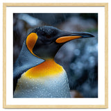 Close Up Of King Penguin In The Rain thumbnail