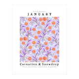 Carnation & Snowdrop January Birth Flower (Print Only) thumbnail