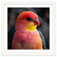 Vibrant Tropical Bird