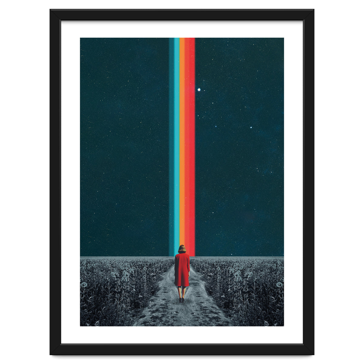 Follow Your Own Path