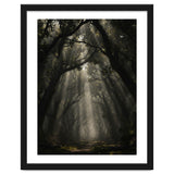 Enchanted Canopy: Mystical Forest Path thumbnail