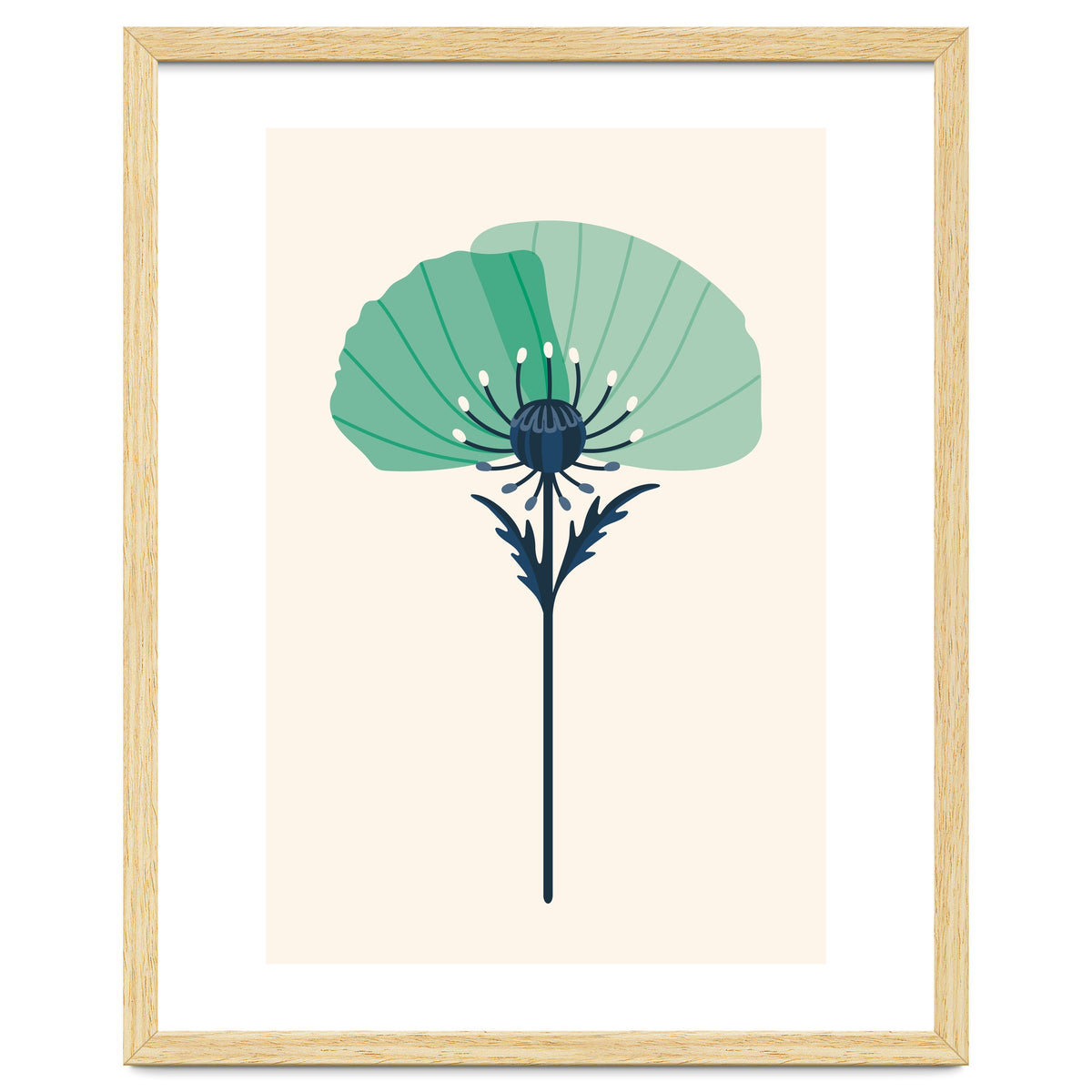 Teal Half Poppy