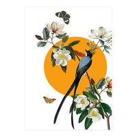 collage floral birds (Print Only)