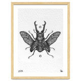 Giraffen Hirschkäfer thumbnail