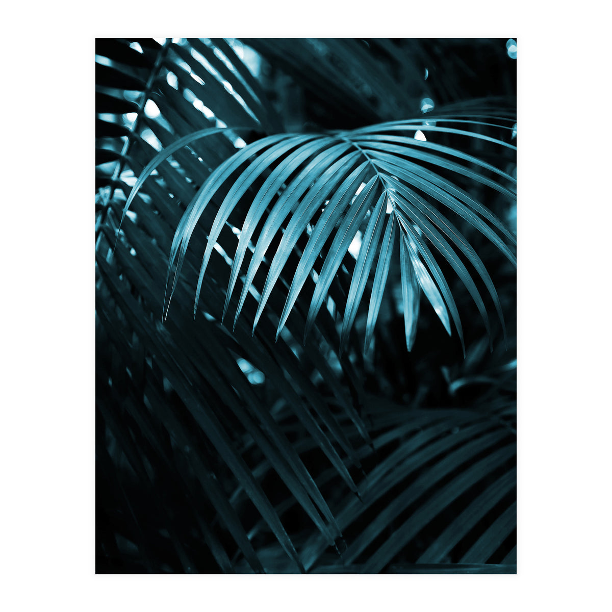Blue Jungle Palm Ii (Print Only)