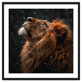 Lion Looking Up In The Snow Majestic thumbnail