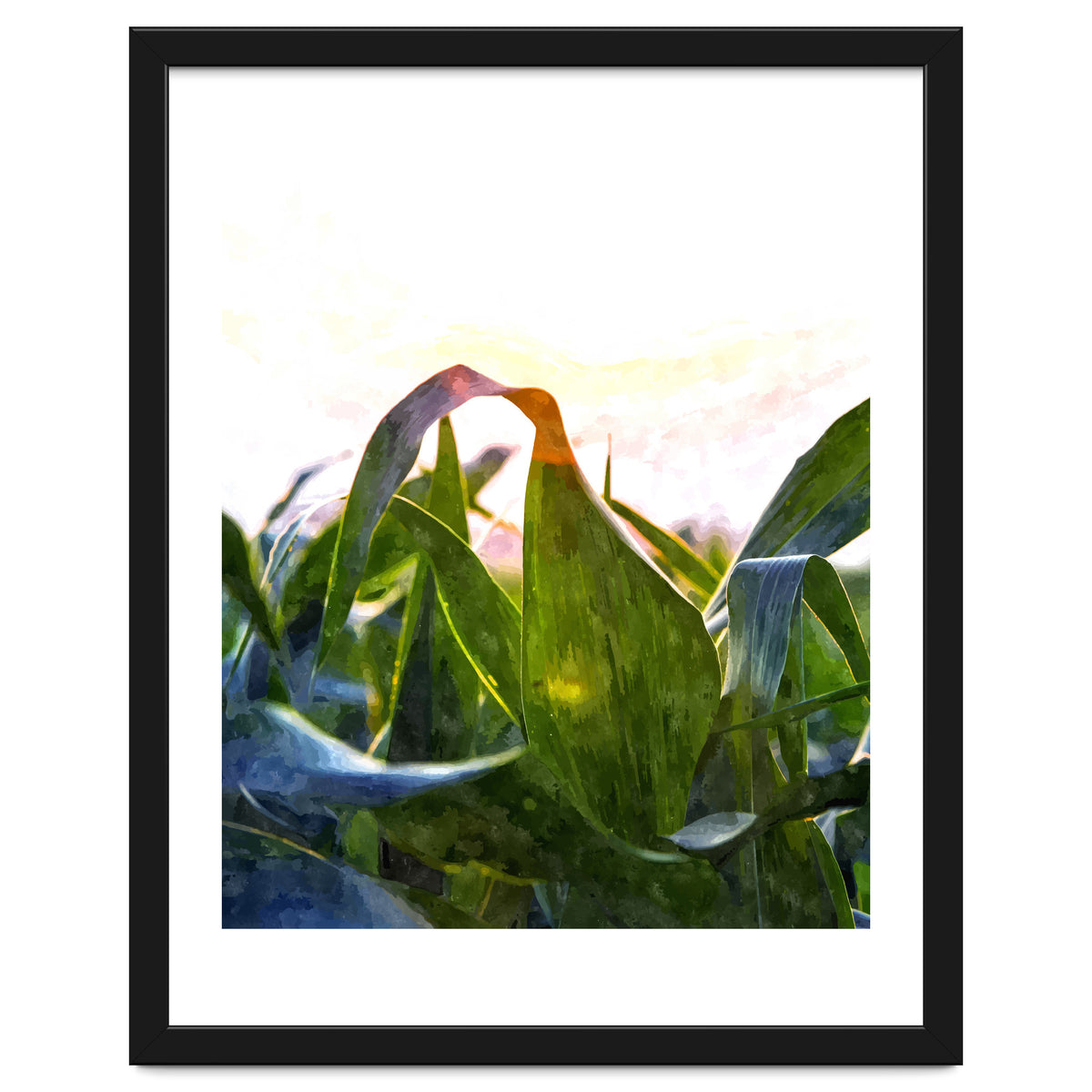 Hope With Abstraction