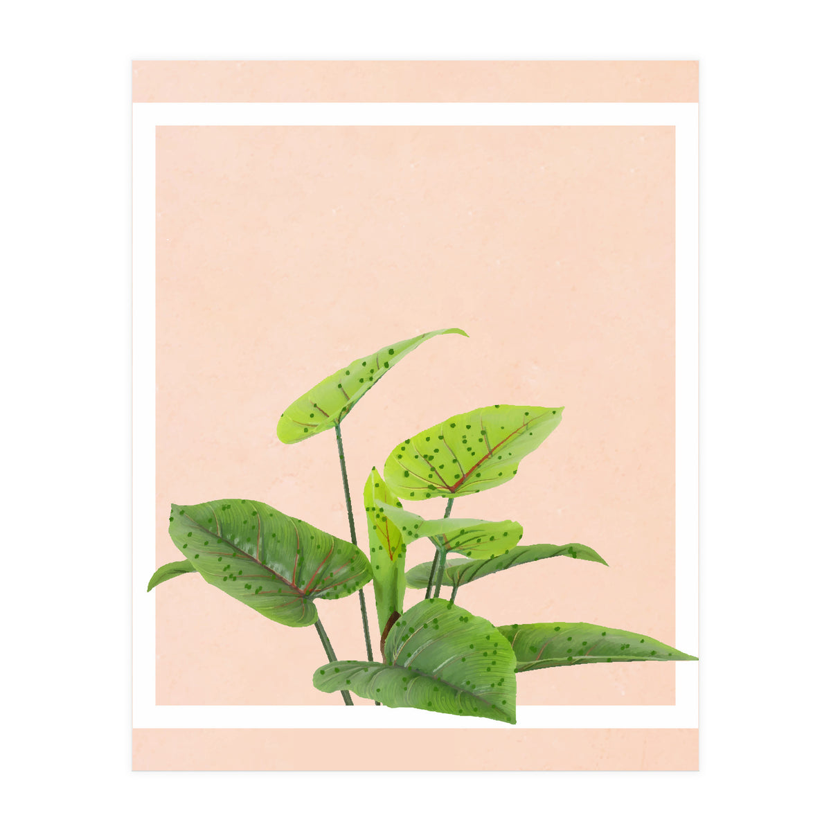 Botanical Art (Print Only)