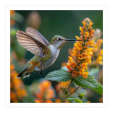 Hummingbird Feeding On Yellow Flowers Nectar (Print Only) thumbnail