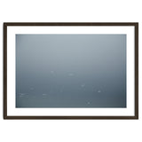 Flying Segulls in thet winter sky thumbnail
