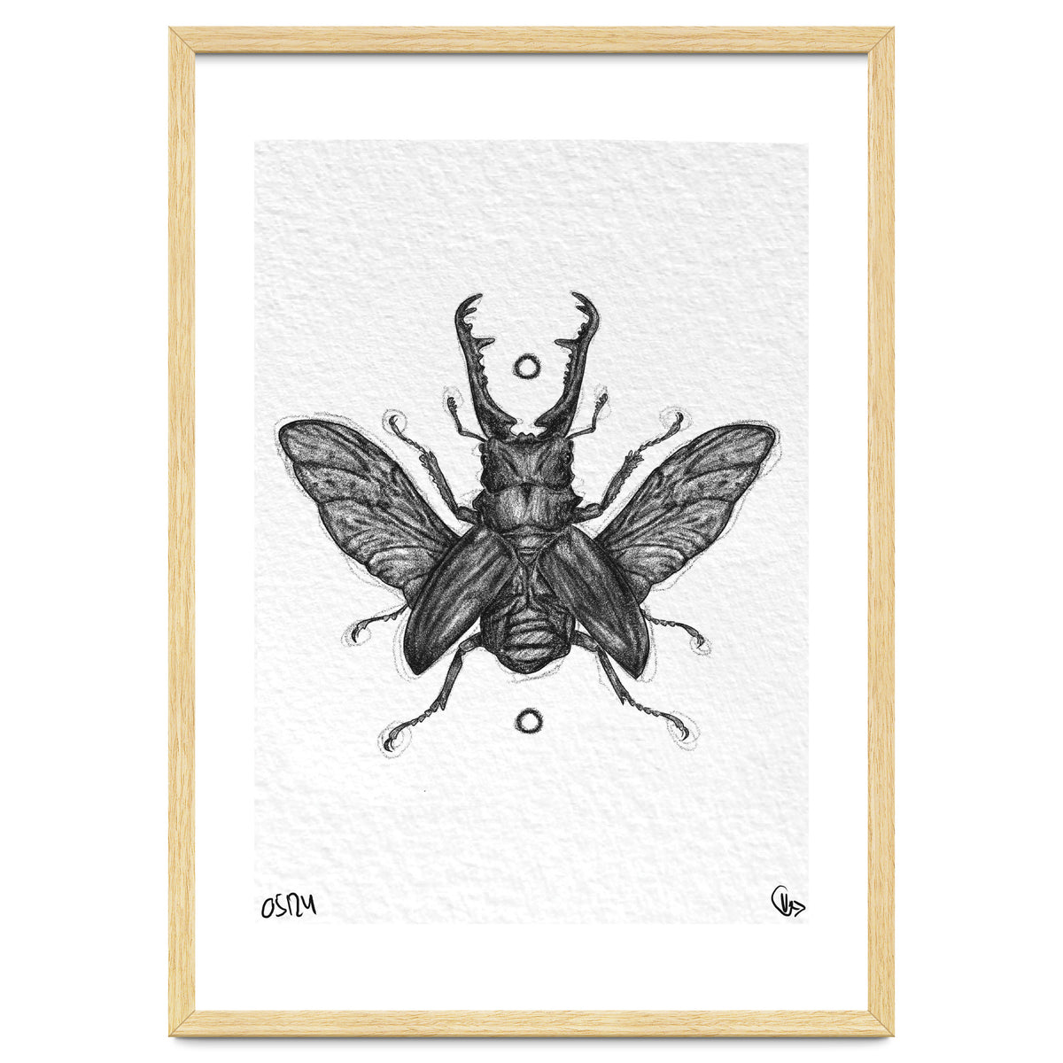 Giraffen Hirschkäfer