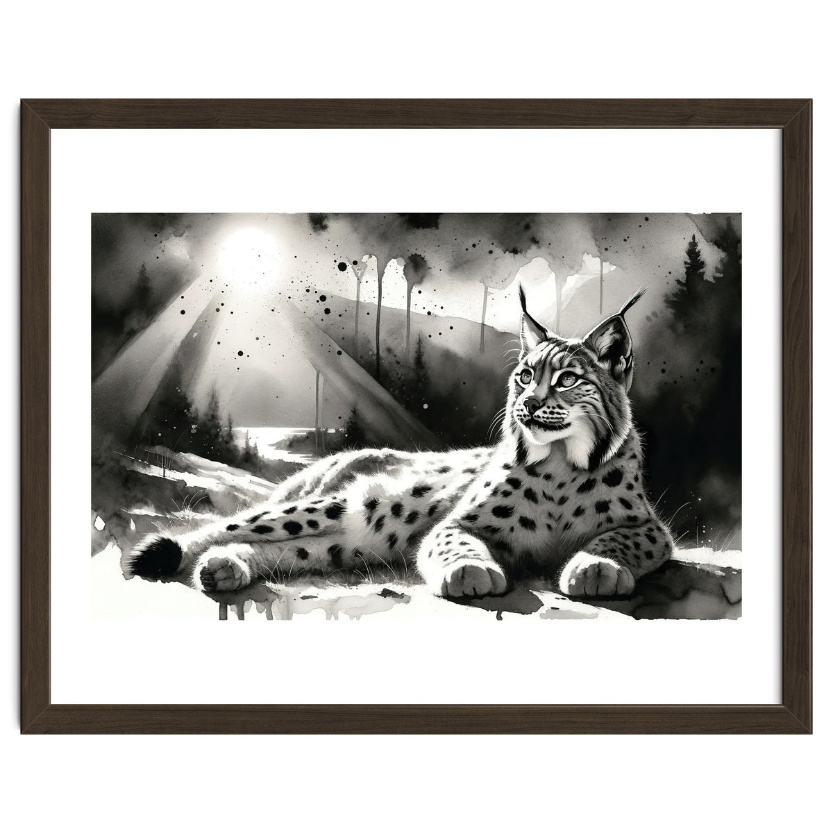 Lynx Resting In Sunlight