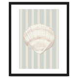 Sea shell thumbnail