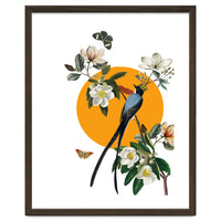 collage floral birds