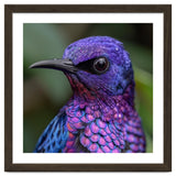 Vibrant Purple Bird With Water Droplets thumbnail