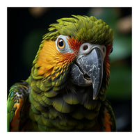 Close Up Of A Colorful Macaw Parrot Face (Print Only)