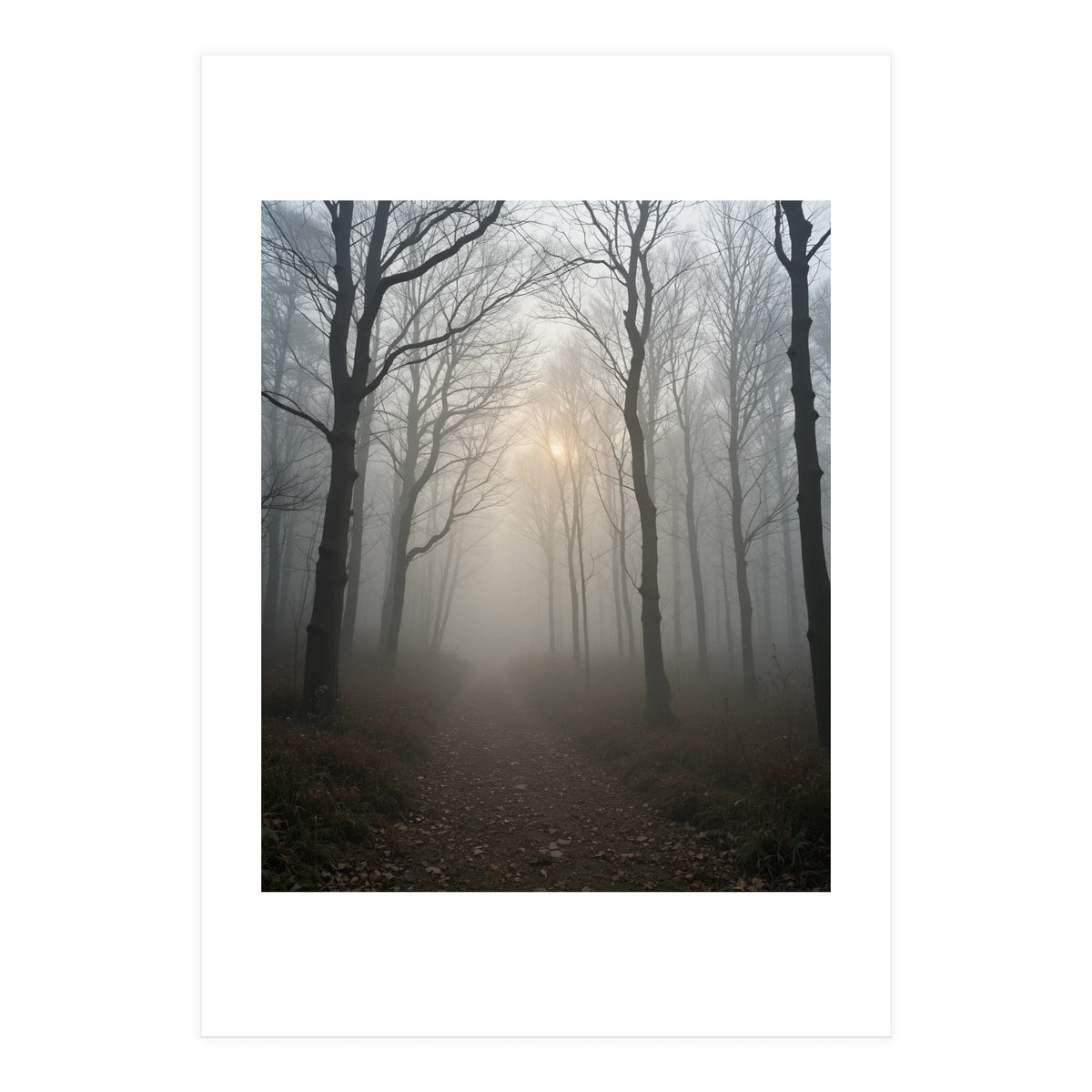 Ethereal Morning Light Breaking Through Dense Forest Fog (Print Only)