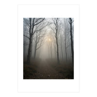 Ethereal Morning Light Breaking Through Dense Forest Fog (Print Only)