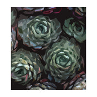 Succulent Plant Ii (Print Only)