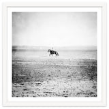 Sea Horse thumbnail