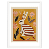 Striped Hare