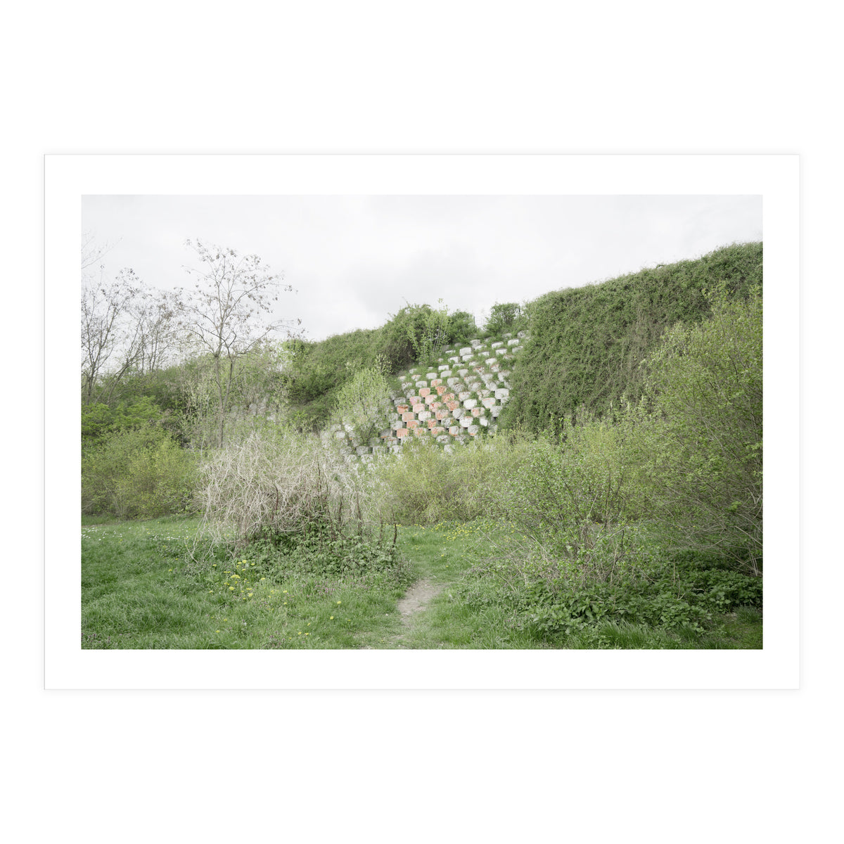 Green grass wall (Print Only)