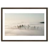 Misty Peaks: Pine Forest Above the Clouds thumbnail