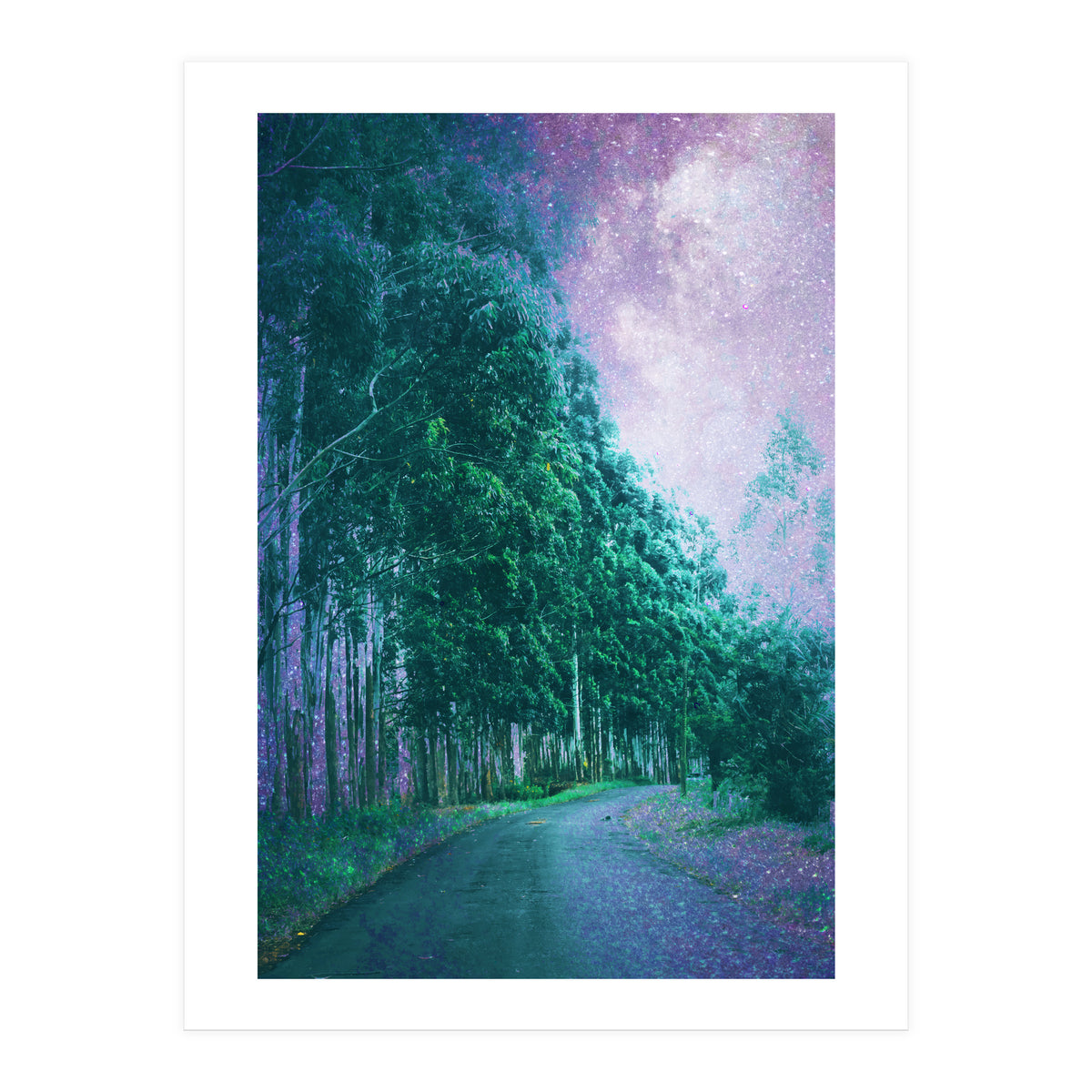 Magical Path (Print Only)