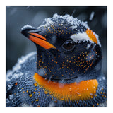 Close Up Penguin In Snow With Water Droplets (Print Only) thumbnail
