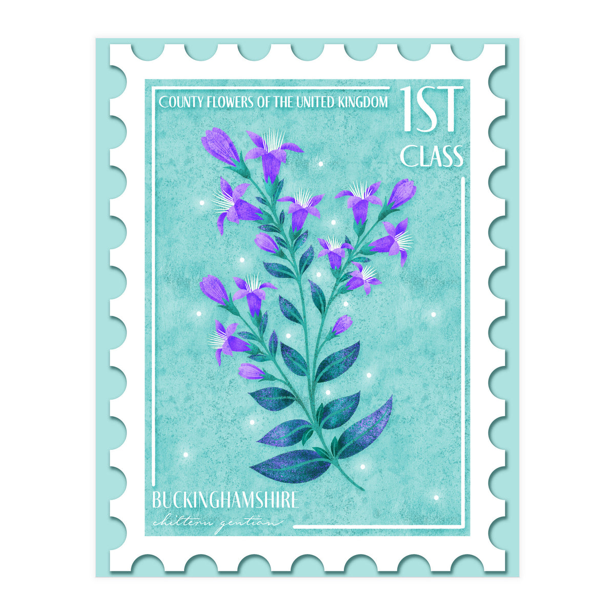 The Buckinghamshire Chiltern Gentian Postage Stamp (Print Only)