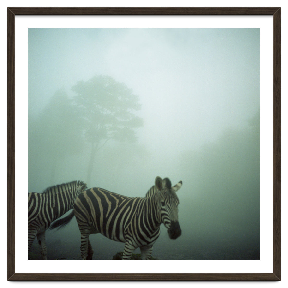 Silence of breath - 16