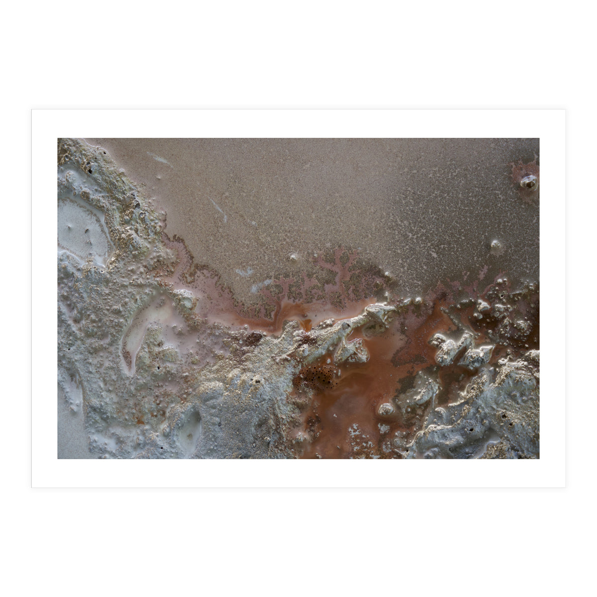 Resilience (Print Only)