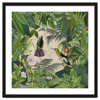 Tropical Hummingbird Jungle