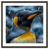 King Penguin Close Up In The Rain thumbnail