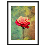 A Vibrant Red Rose thumbnail