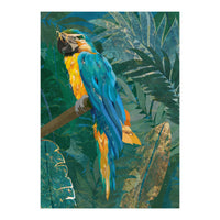 Macaw in the jungle (Print Only)