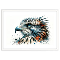 Vibrant Eagle Close Up Portrait