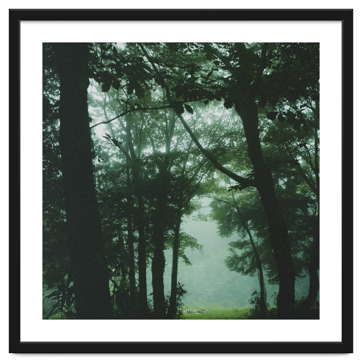 Silence of breath - 13