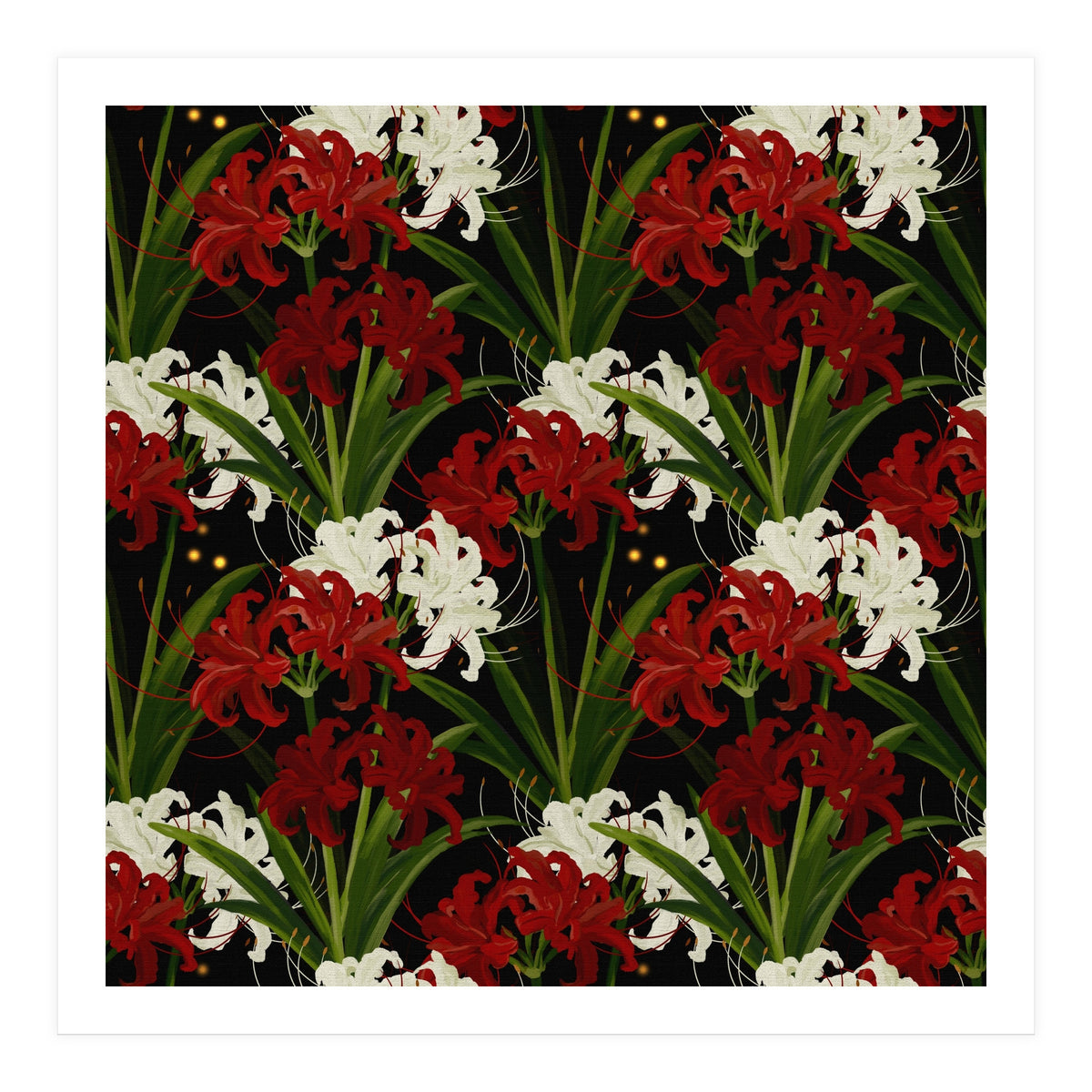 Red and White Spider Lily Flower Print Elegant Botanical Japanese Inspired Floral Artwork (Print Only)