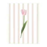 Single Tulip (Print Only) thumbnail