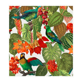 Tropical Parrots In Flower Jungle  (Print Only) thumbnail