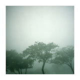 Silence of breath - 17 (Print Only) thumbnail
