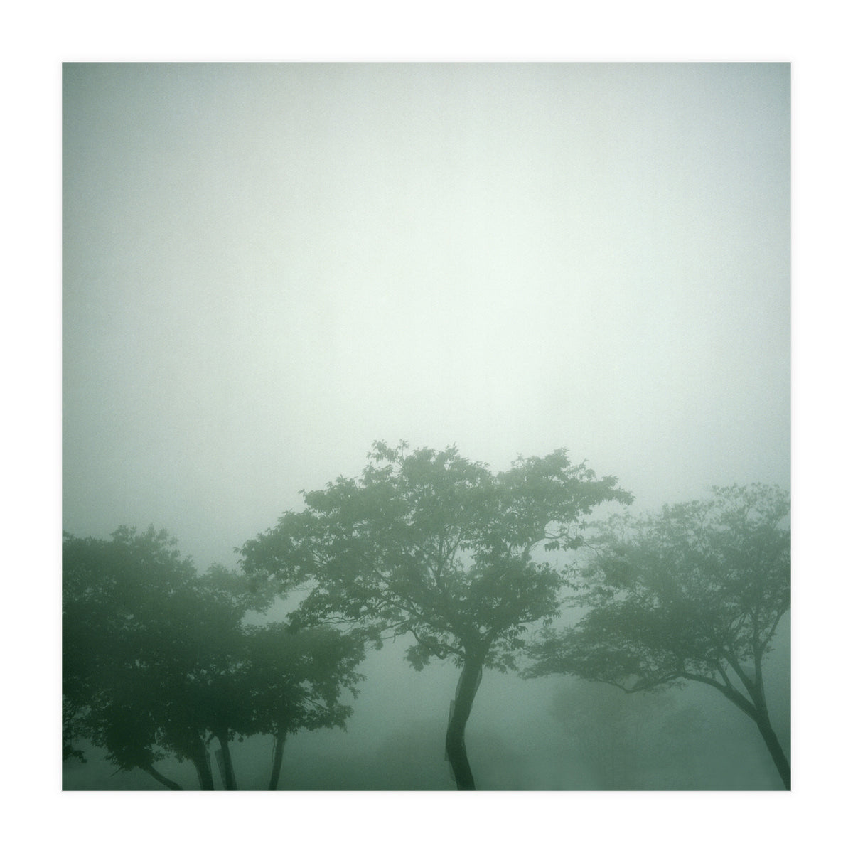 Silence of breath - 17 (Print Only)