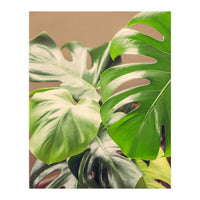 Monstera Mix (Print Only)