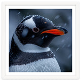 Close Up Penguin Portrait In Snowy Weather thumbnail